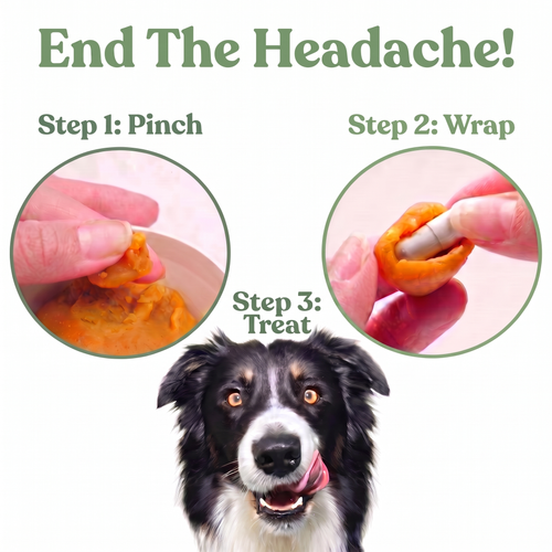 Pet Pill Blanket