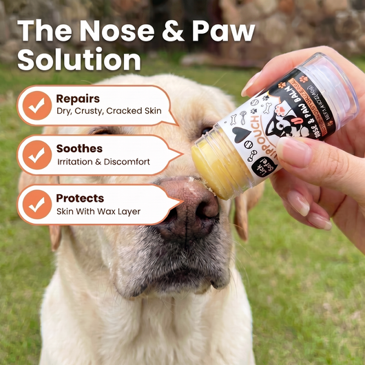 Lick-Safe Dog Nose & Paw Balm